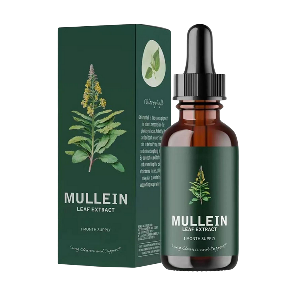 EverVita Mullein Leaf Capsules – Gluten-Free Herbal Lung Support Supplement