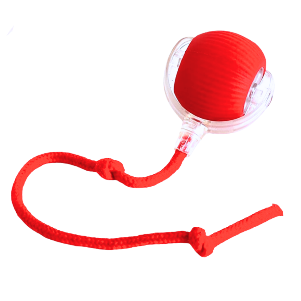 PawJoy Smart Cat Ball Toy – Interactive Motion-Activated Play for Indoor Cats