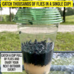 Fly Lid Combo- Indoor Outdoor Eco Friendly Fly Control Pack – Includes 12 Fly-Lids for Disposable Cups and (3) 5 Gallon Bucket Fly-Condo™ Lids. - fly-lid-combo-indoor-outdoor-eco-friendly-fly-control-pack-includes-12-fly-lids-for-disposable-cups-and-3-5-gallon-bucket-fly-condo™-lids