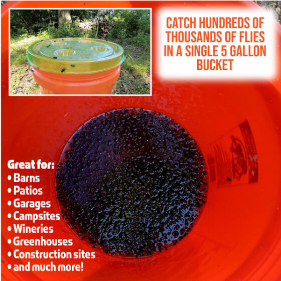 Fly Lid Combo- Indoor Outdoor Eco Friendly Fly Control Pack – Includes 12 Fly-Lids for Disposable Cups and (3) 5 Gallon Bucket Fly-Condo™ Lids. - fly-lid-combo-indoor-outdoor-eco-friendly-fly-control-pack-includes-12-fly-lids-for-disposable-cups-and-3-5-gallon-bucket-fly-condo™-lids