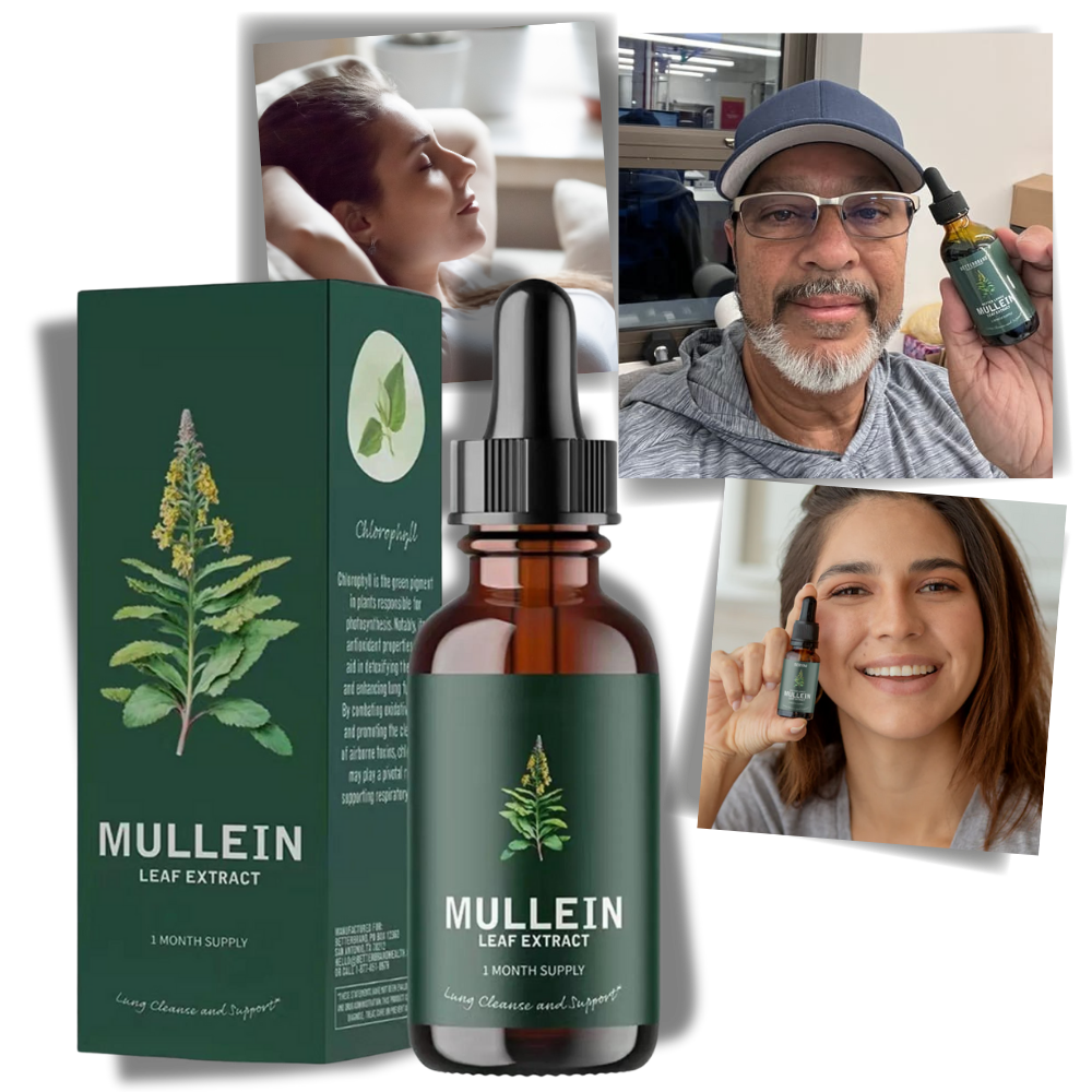 EverVita Mullein Leaf Capsules – Gluten-Free Herbal Lung Support Supplement