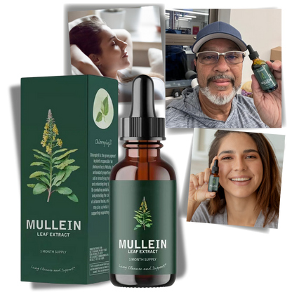 EverVita Mullein Leaf Capsules – Gluten-Free Herbal Lung Support Supplement