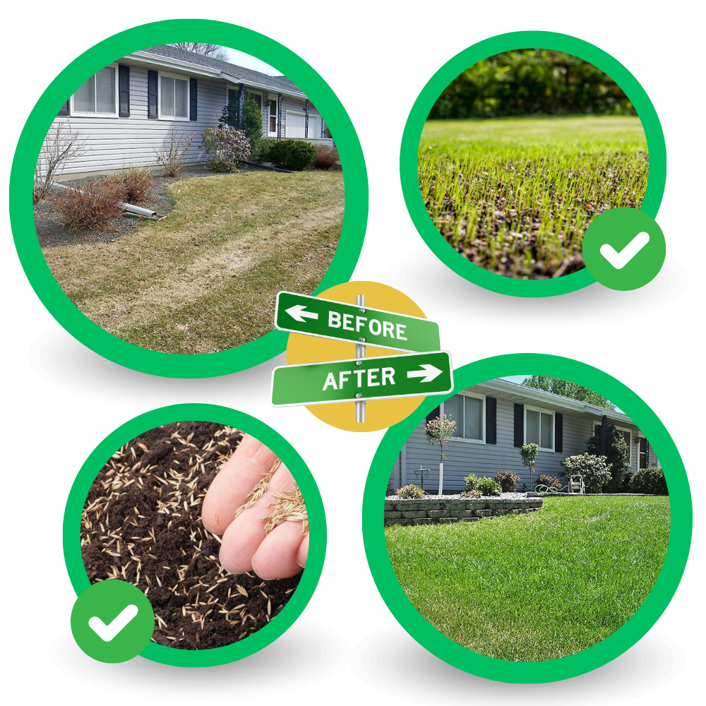 EverPatch™ Quick Fix Grass Seed Mat - Grow Lush Green Lawns Fast