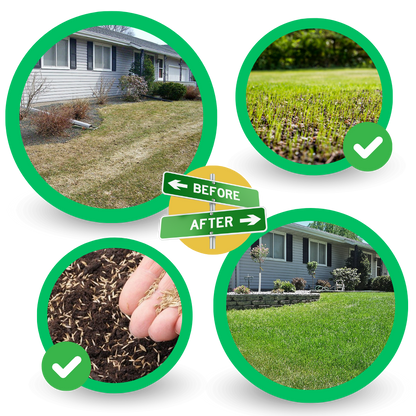 EverPatch™ Quick Fix Grass Seed Mat - Grow Lush Green Lawns Fast